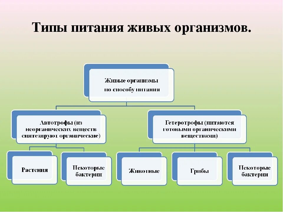 Организмы питающиеся живыми организмами это. Типы питания живых организмов. Типы питания организмов таблица. Организмы по типу питания. Типы питания живых организмов схема.