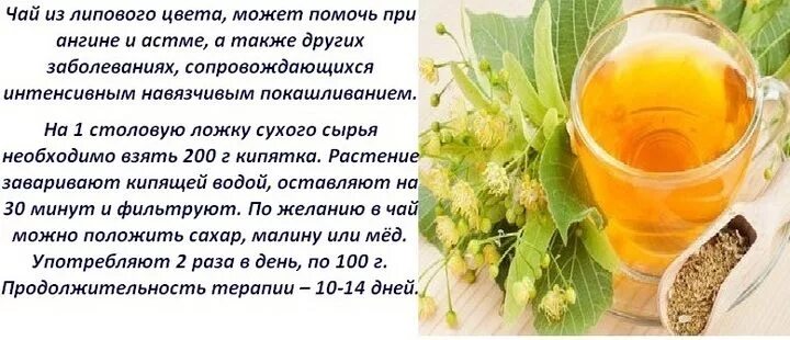 Сколько дней можно пить отвар. Отвар липы. настой из липы. липовый цвет чай полезные качества. липовый отвар от кашля.