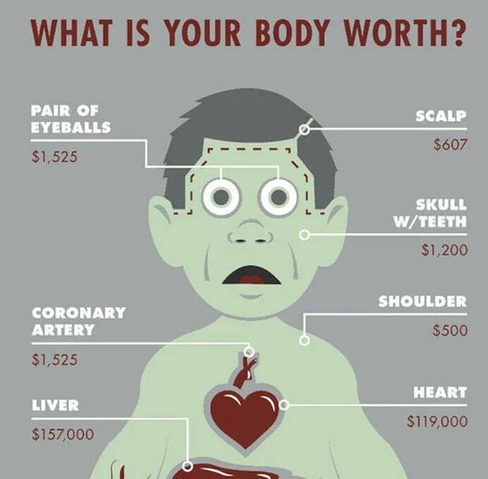Цена органов мужчины. Органы человека на черном рынке. Стоимость органов человека на черном рынке. Сколько стоит человек.