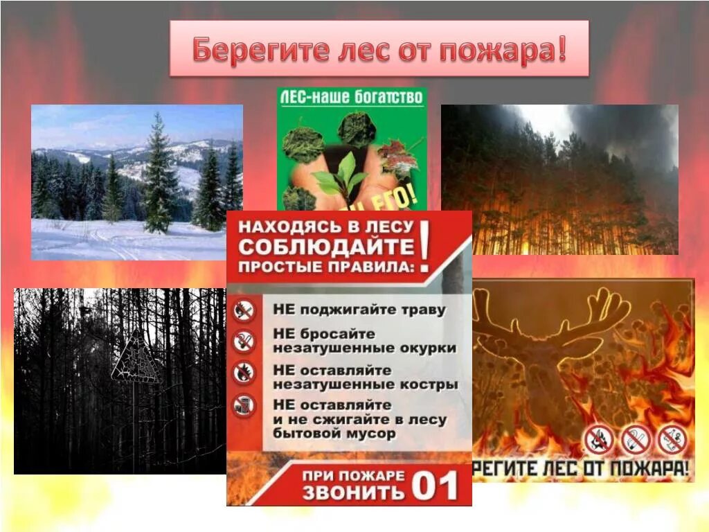 Песня берегите лес. Берегите Лис от пожара. Пожарная безопасность в лесу. Памятка береги лес от пожара. Охрана лесов от пожаров.