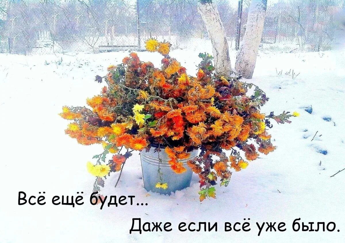 До весны неделя нету терпежа. Хочется весны. хочу весну. так хочется весны. хочется весны и тепла.