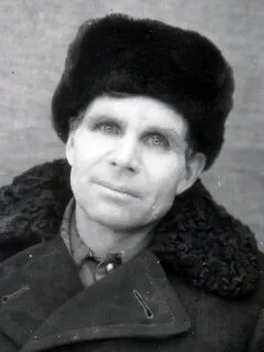 Год рождения 1941