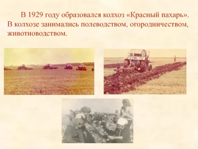 Колхоз пахарь. Колхоз красный пахарь. колхоз красный пахарь алтайский край. 1933 год колхоз &quot;красный пахарь&quot;. колхоз красный пахарь новосибирская область.