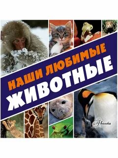 Обложка животные