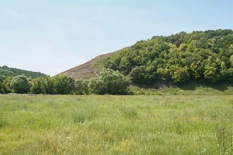 Гора городище
