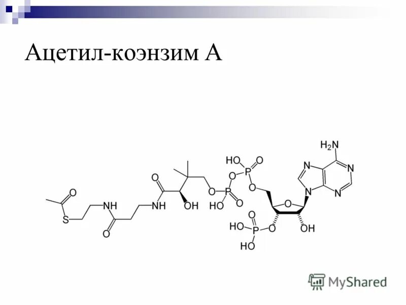 Что такое кофермент. Коэнзим а биохимия структура. Формула ацетил коэнзим а. Ацетил кофермент а формула. Строение коэнзима а.