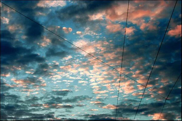 они летают ответы