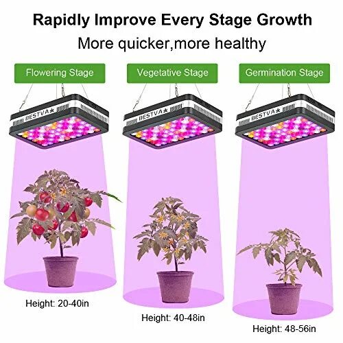 Led Plant grow Light инструкция на русском языке. 8000w led grow Light Indoor Plants Veg Flower growing Lamp Full Spectrum Lights. BESTVA led инструкция. Led grow Light USB Connector input 5v 2000ma растить марихуану.