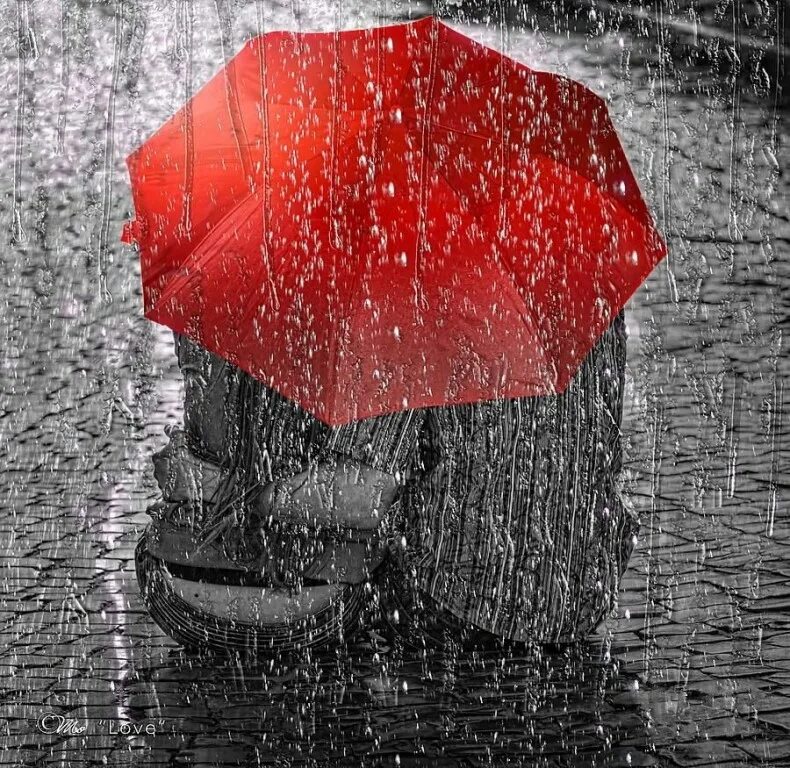 Красный зонт. Красный зонт под дождем. Дождь любви. Дождь зонт.