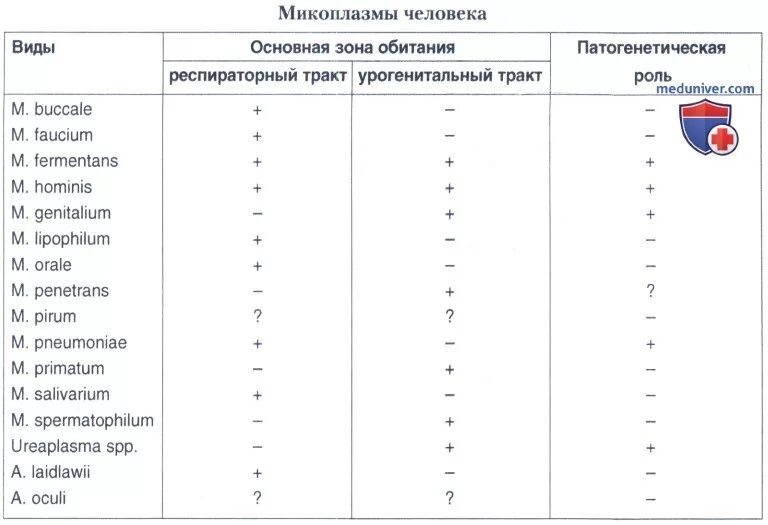 Микоплазмы патогенность. Виды микоплазм. Патогенность микоплазм. Микоплазма факторы патогенности.