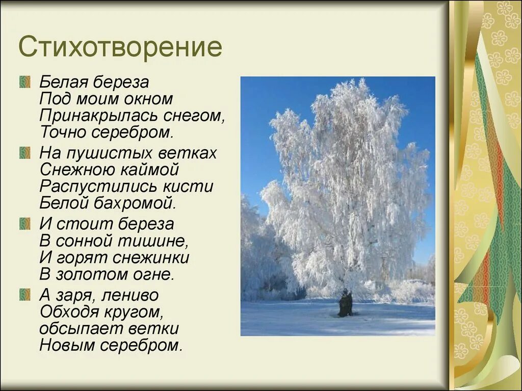 Стихотворение белая береза я помню ранила березу. Стихотворение Есенина белая береза под моим окном. Стихотворение Есенина береза. Стих Есенина белая береза. Стих белая береза Есенин текст.