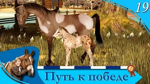 Весь путь к победе