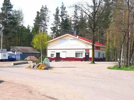 Погода ленинградская область плодовое приозерский