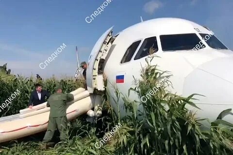Пилот который посадил самолет в поле