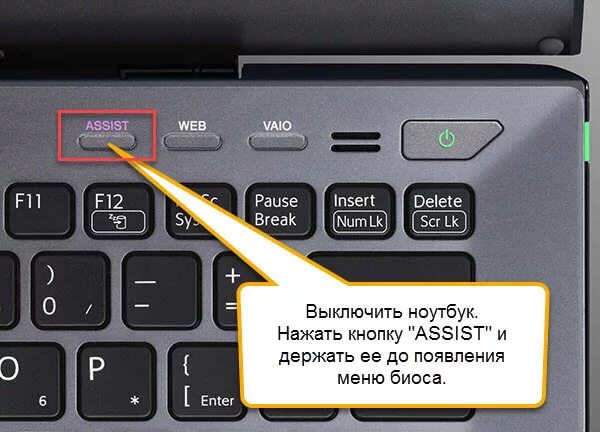 Кнопка assist на Sony VAIO. Кнопка вай фай на ноутбуке Sony. Переключатель WIFI на ноутбуке Sony VAIO. Sony VAIO кнопка WIFI на клавиатуре ноутбука.