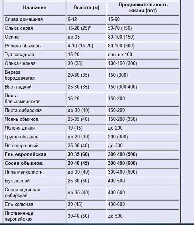 Можно ли утверждать что продолжительность жизни. Деревья и Продолжительность жизни деревьев таблица. Продолжительность жизни деревьев таблица. Дуб Продолжительность жизни деревьев таблица. Продолжительность жизни деревьев клен.