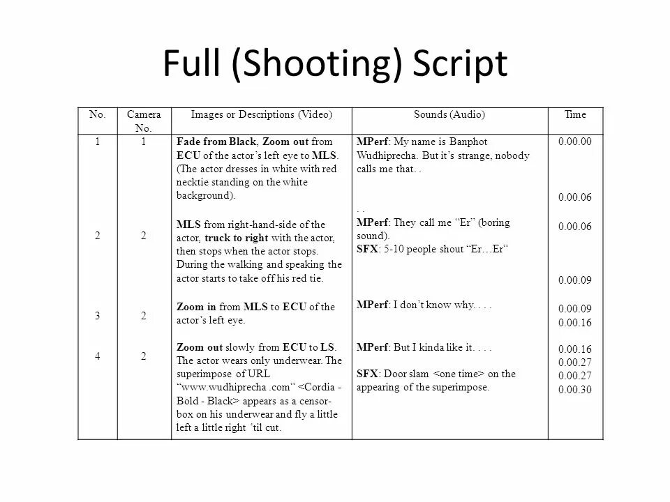 Blanks script. Shooting script. Shooting script blank.