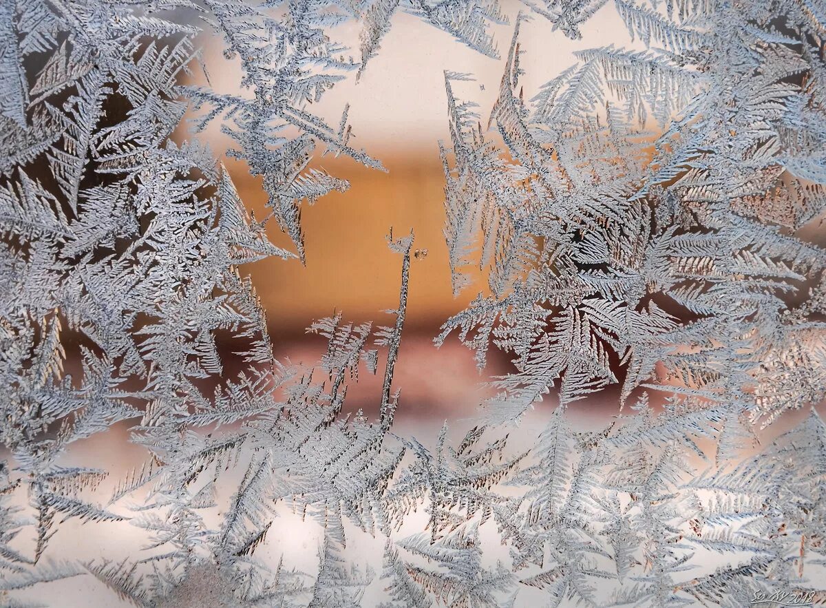 Сильный утренний мороз сковал. Морозное окно. Морозные узоры. Зимние узоры на окнах. Морозные узоры на стекле.