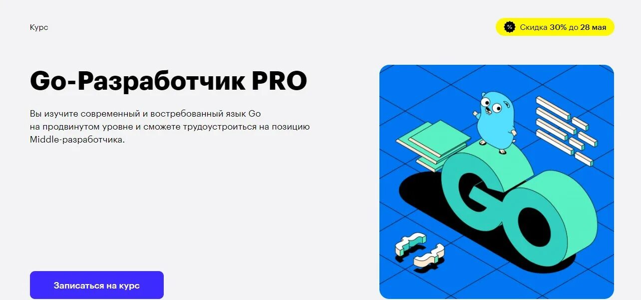 Go разработчик курс. Гоу Разработчик. Go Разработчик Skillbox. Go разработка.