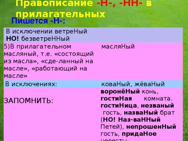 Вечнозеленый как пишется. Исключения НН В прилагательных. Масляный и масляный правописание. Масляный правило написания. Как писать- безветренный день.