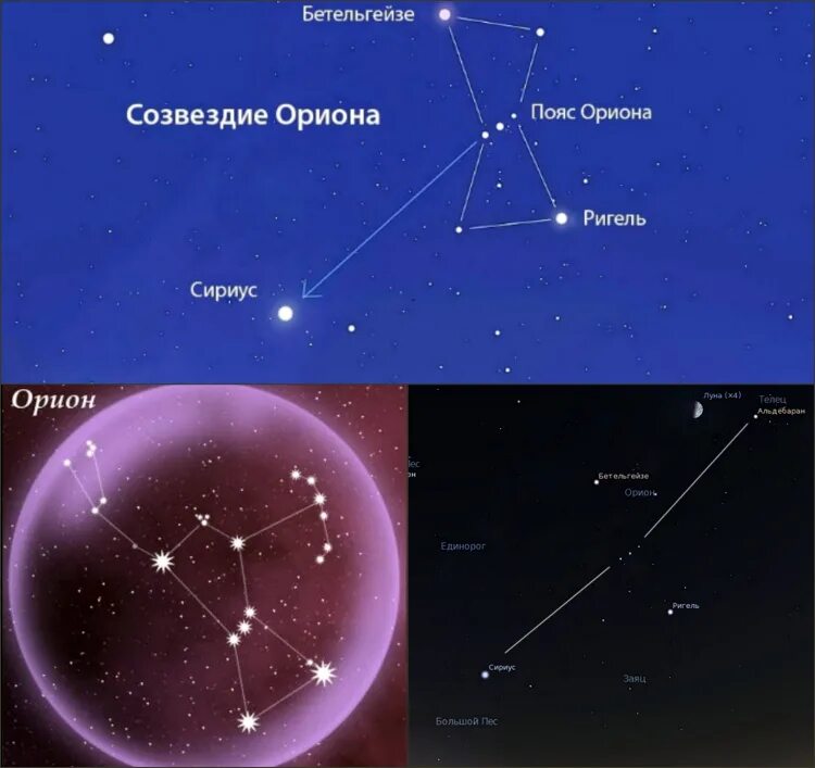 Орион ригель. Звезда Бетельгейзе в созвездии Ориона. Пояс Ориона Созвездие Бетельгейзе. Пояс Ориона и Полярная звезда. Пояс Ориона от полярной звезды.