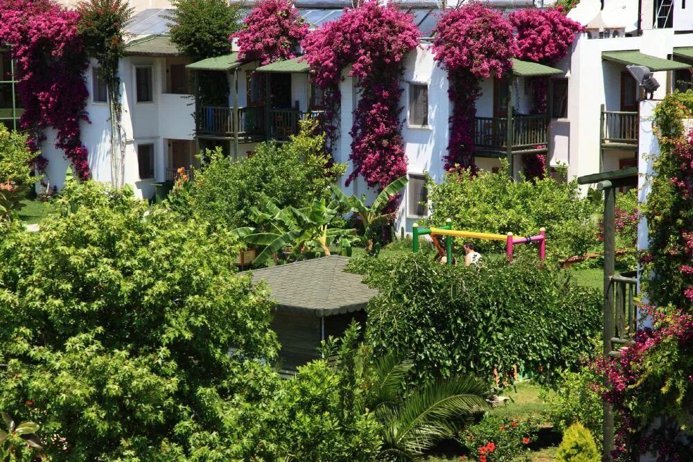 Парким аяз отель бодрум. Ayaz hotel. Parkim ayaz hotel 4*. Parkim ayaz hotel 4 турция. Бодрум отель very chic hotel.