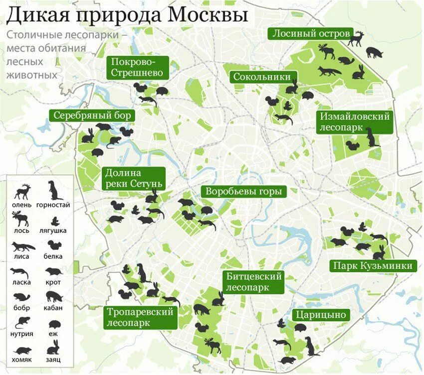 Где в подмосковье собирают. ООПТ города Москвы схема. Карта парков Москвы. Парки Москвы на карте. Места обитания животных.