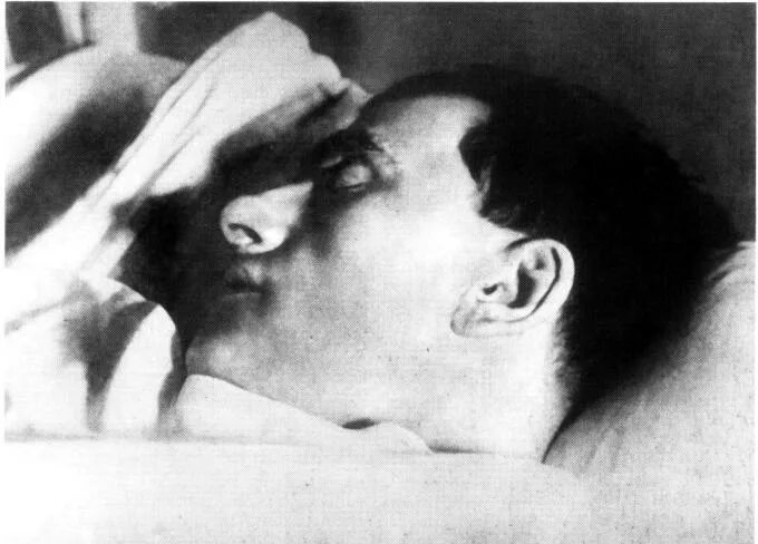 Маяковский после. Маяковский после. Владимир маяковский и гилея. Маяковский после. Валюженич анатолий васильевич.