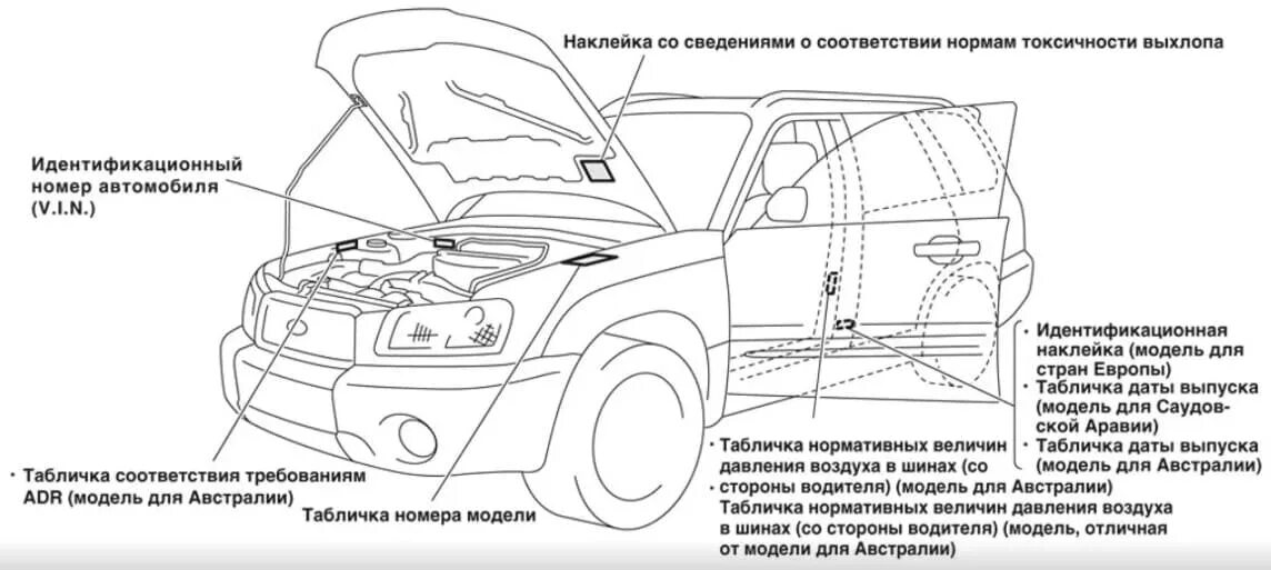 Vin код детали. Subaru Forester 2008 номер кузова. VIN номер Subaru Forester 3. Номер кузова Субару Форестер 2011. VIN номер Subaru Forester sg9.