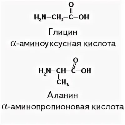 Взаимодействие глицина и аланина