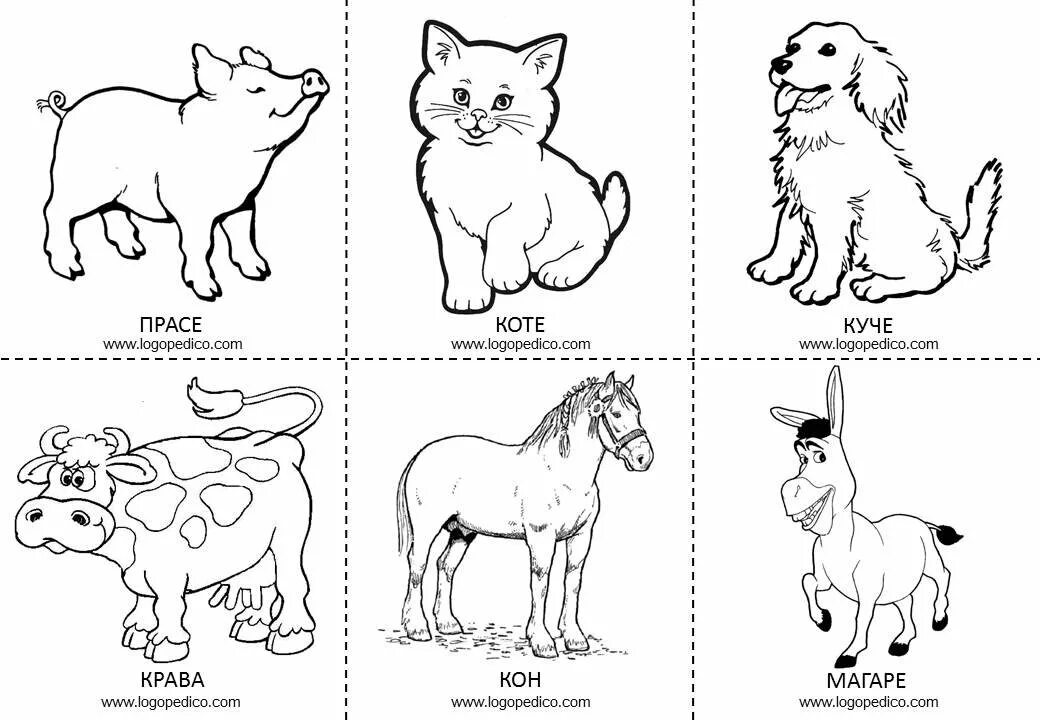 Математика по теме домашние животные. Животные рисунки для детей. карточки &quot;домашние животные&quot;. карточки животные для детей. домашние животные среднего размера.