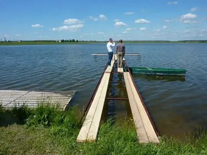 Погода новоникольское шаховская