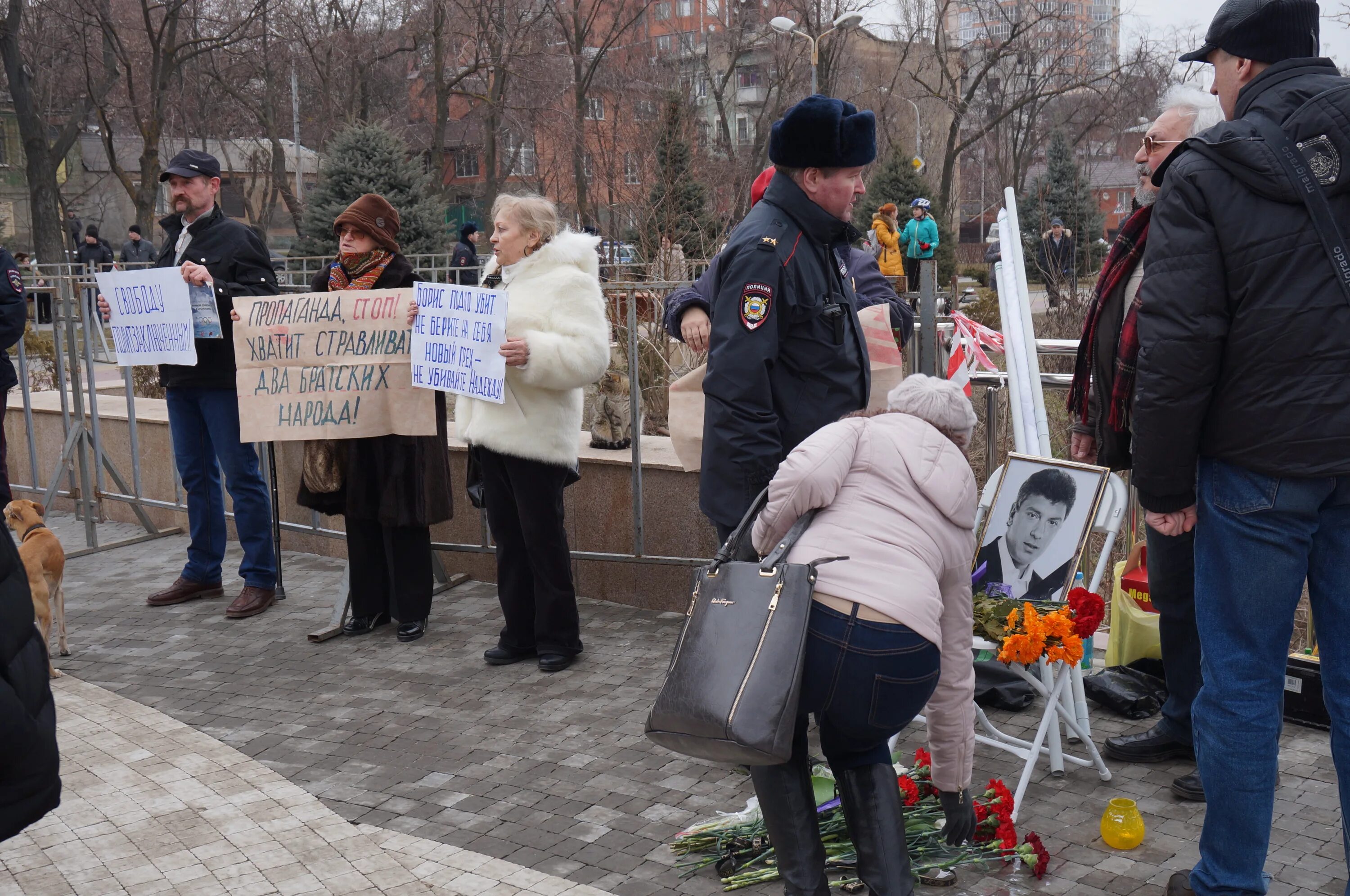 Митинг ростов сегодня. Митинг Немцова 2015.