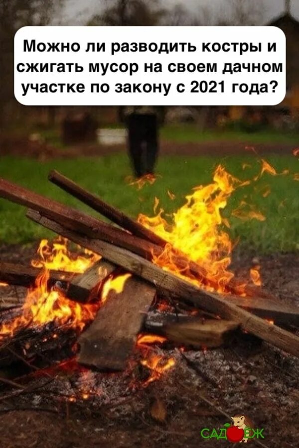 Запрет на костры на дачных участках. Костры в огороде. сжигать ветки. для сжигания веток.
