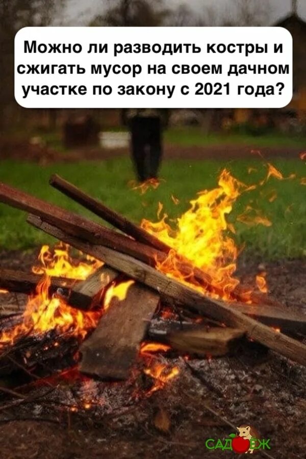 Костры в огороде. Сжигание веток. Костер сжигание ветка. Можно ли сжигать ветки на своем участке