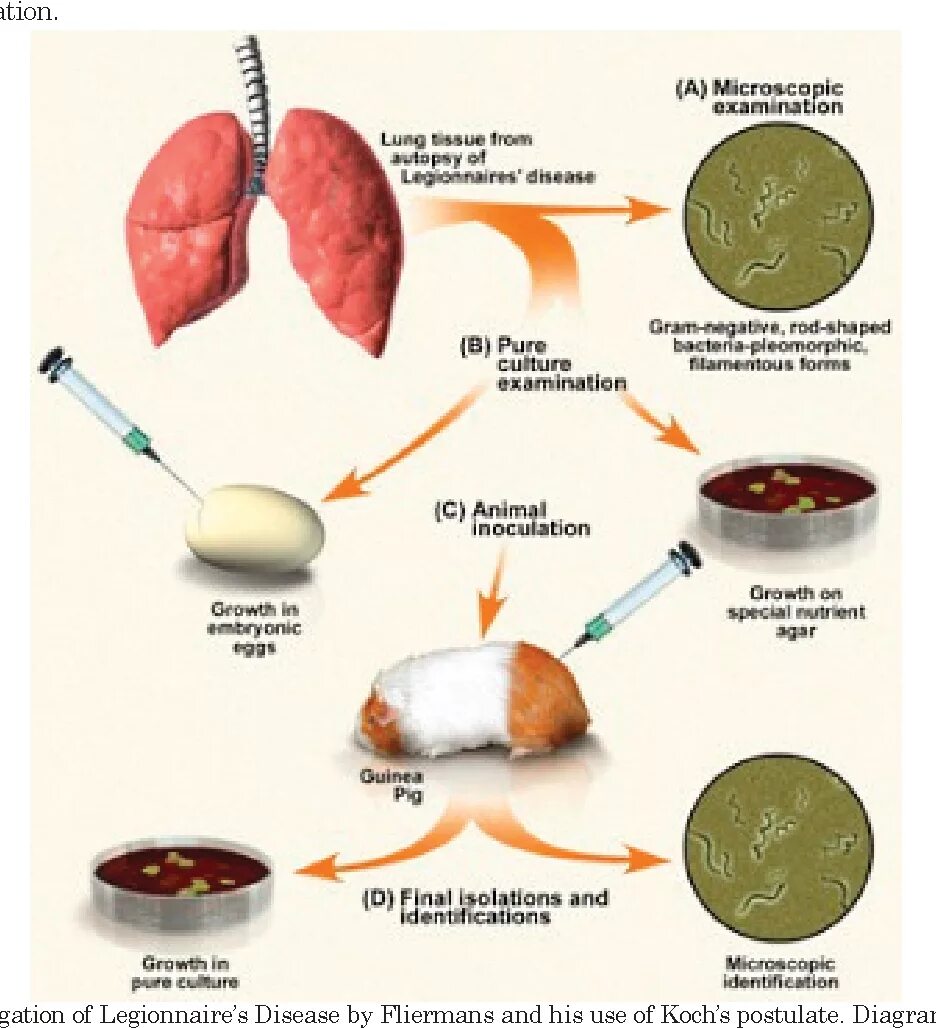 Germ theory