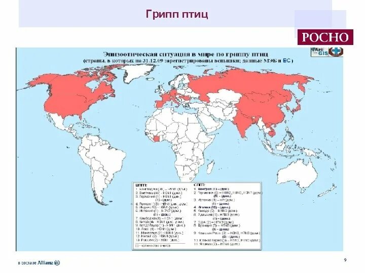 Птичий грипп распространение