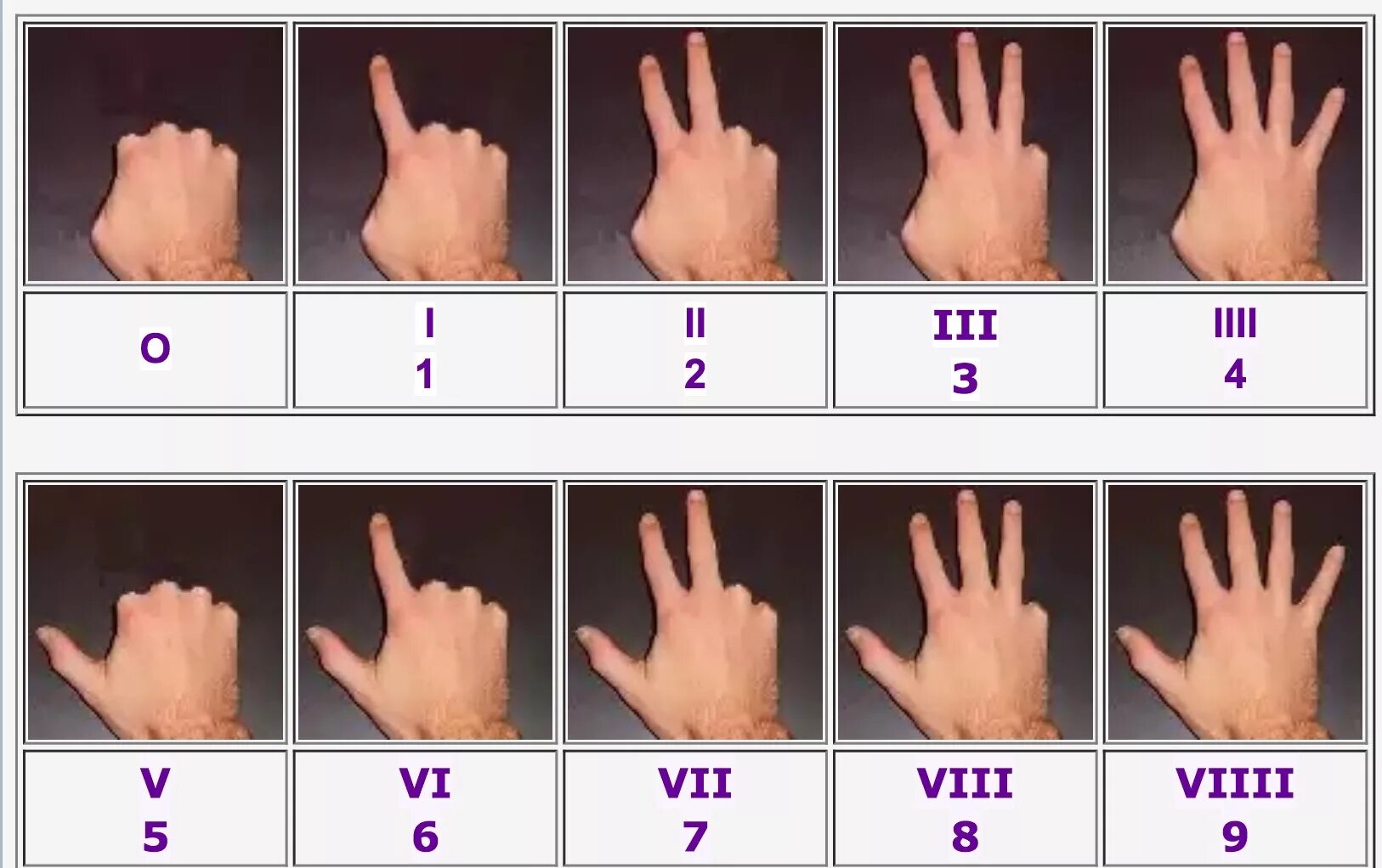 Р какая по счету. Числа на пальцах. Римские цифры на пальцах. Счет на пальцах. Пальцы рук для счета.