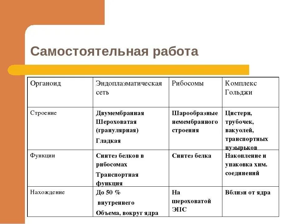 Органоиды рибосомы строение и функции таблица. Эндоплазматическая сеть строение и функции таблица. Эндоплазматическая сеть особенности строения и функции. Органоиды строение и функции таблица. Органоиды клетки ядро функции