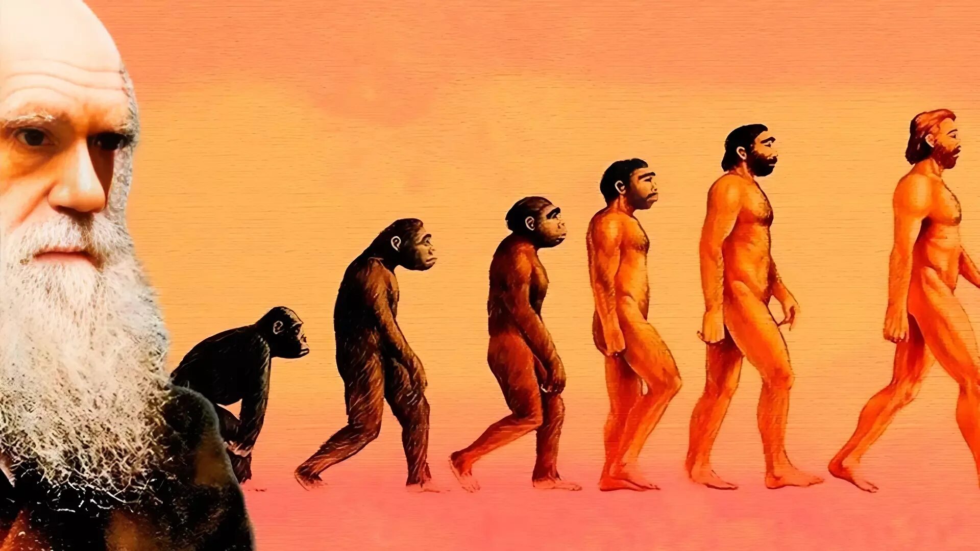 Взгляды на теорию эволюции. Взгляды на теорию эволюции