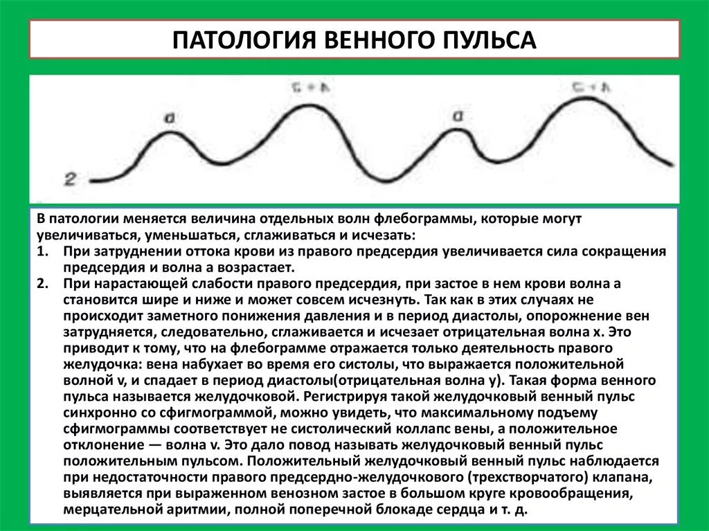 Патологии пульса. Патологические формы пульса. Пульс виды пульса. Патологические изменения пульса. Рост человека изменчивая величина