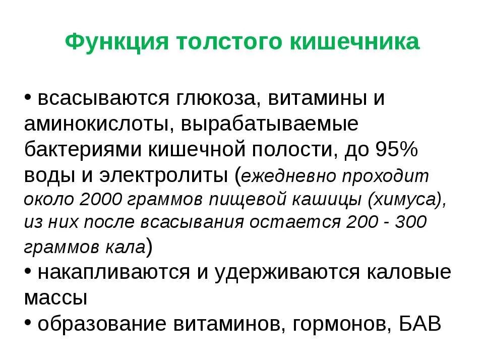 Роль толстой кишки. Функции толстой кишки. Функции Толстого кишечника. Нарушение функции Толстого кишечника. Функции толстой кишечника.