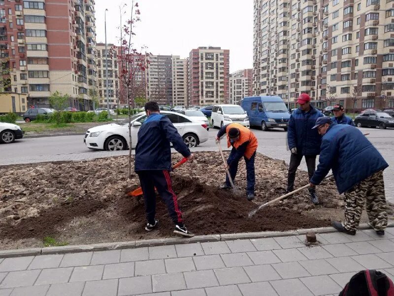 новое пушкино управляющая компания