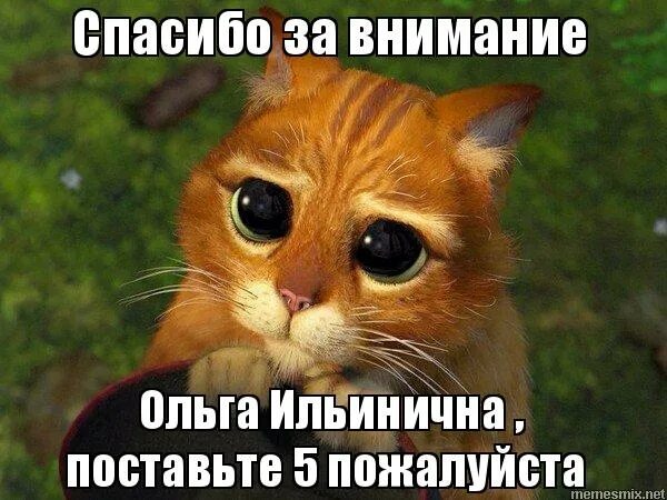 Спасибо за внимание мем