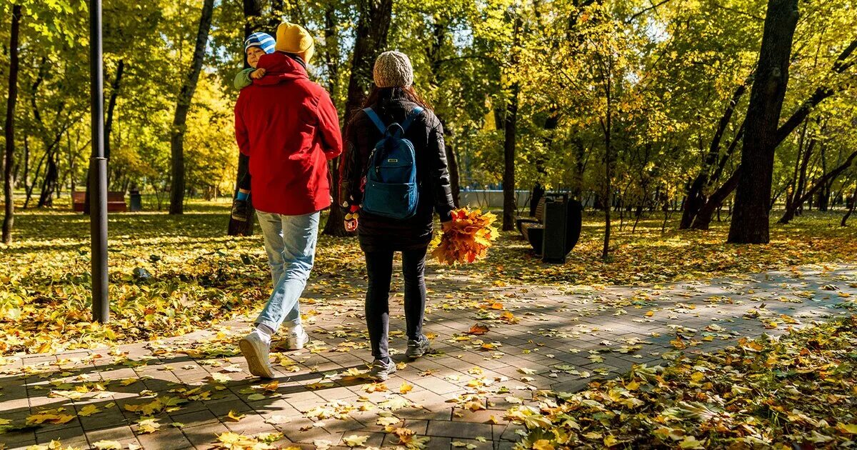 В лесах парка можно встретить. Осенний город. Москва осенью. Девушка в осеннем парке. Осень в парках Москвы.
