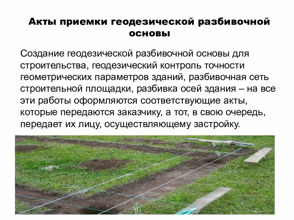 Геодезическую разбивочную основу заказчик