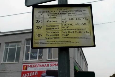 Зеленоградск светлогорск остановки