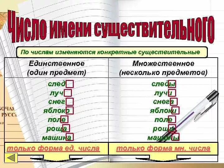 Дружба это единственное или множественное число