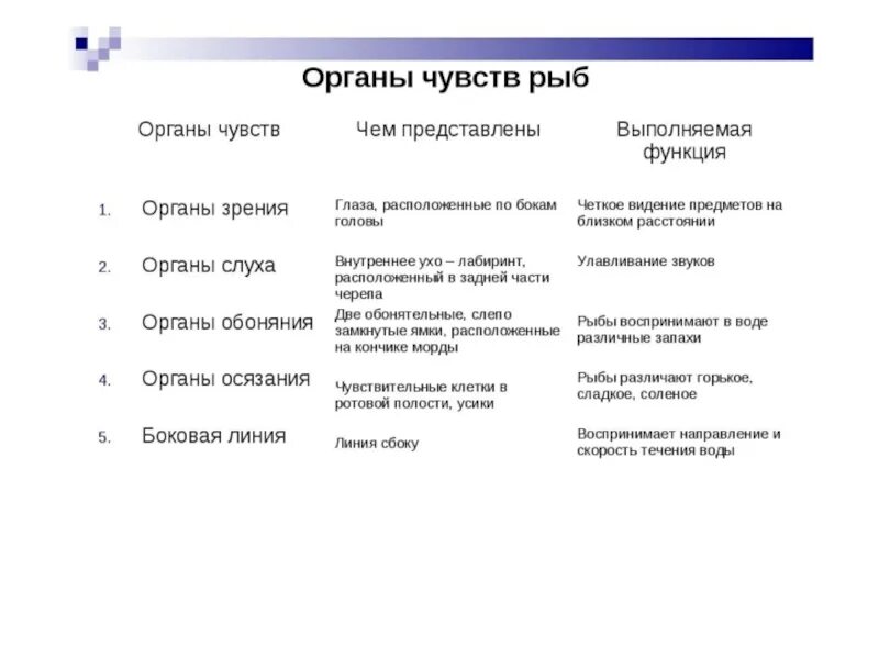 Строение рыбы 7 класс таблица. Органы чувств у рыб 7 класс биология. Органы чувств рыбы особенности строения и функции. Органы чувств у рыб таблицы кратко. Органы чувств у рыб характеристика и значение.