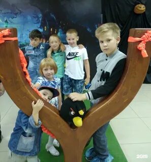 Чайка прокопьевск